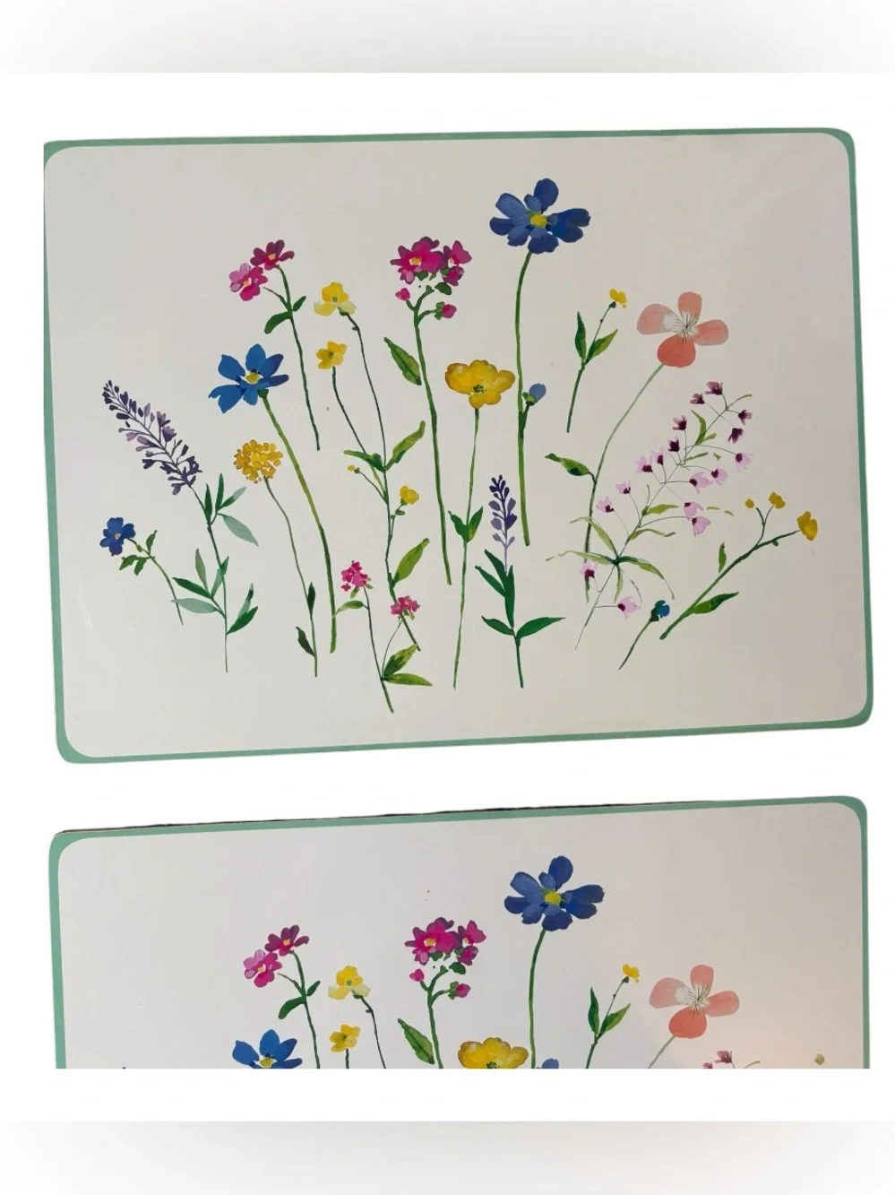 Williams Sonoma Floral Meadow Collection Set of 4 Cork Back Hardboard Placemats